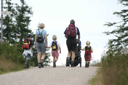 Pf&auml;lzer Wald