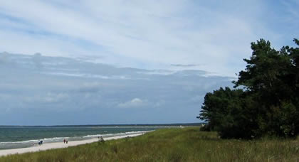 R&uuml;gen