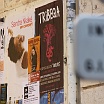 IMG_0491