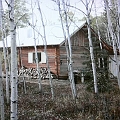 P1150804