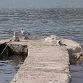 trogir_11